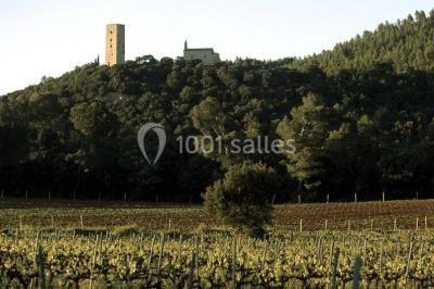 Location salle Taradeau (Var) - Château De Saint Martin #23