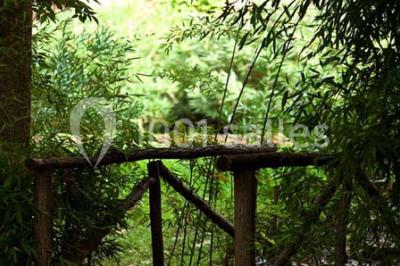 Location salle Taradeau (Var) - Château De Saint Martin #23