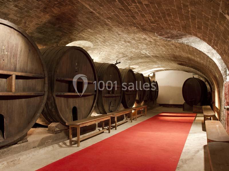 Location salle Taradeau (Var) - Château De Saint Martin #9