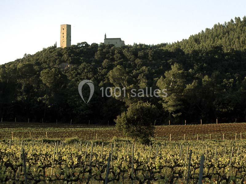 Location salle Taradeau (Var) - Château De Saint Martin #15