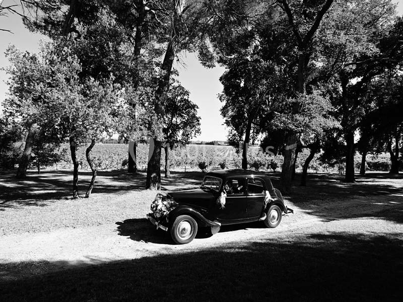 Location salle Piolenc (Vaucluse) - Château Beauchêne #13 Voiture ancienne noire décorée pour un mariage, stationnée sur un chemin ombragé entouré d'arbres et de vignes.