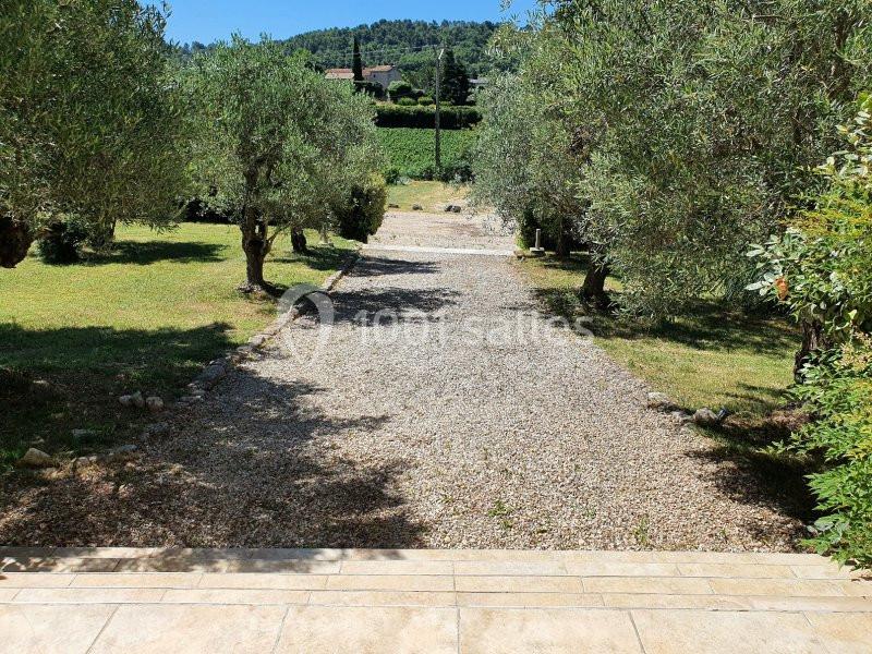 Allée en gravier bordée d'oliviers, menant à un espace verdoyant sous un ciel ensoleillé.