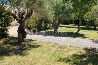 Salle avec de grandes presses anciennes en bois et une longue table dressée pour un repas.