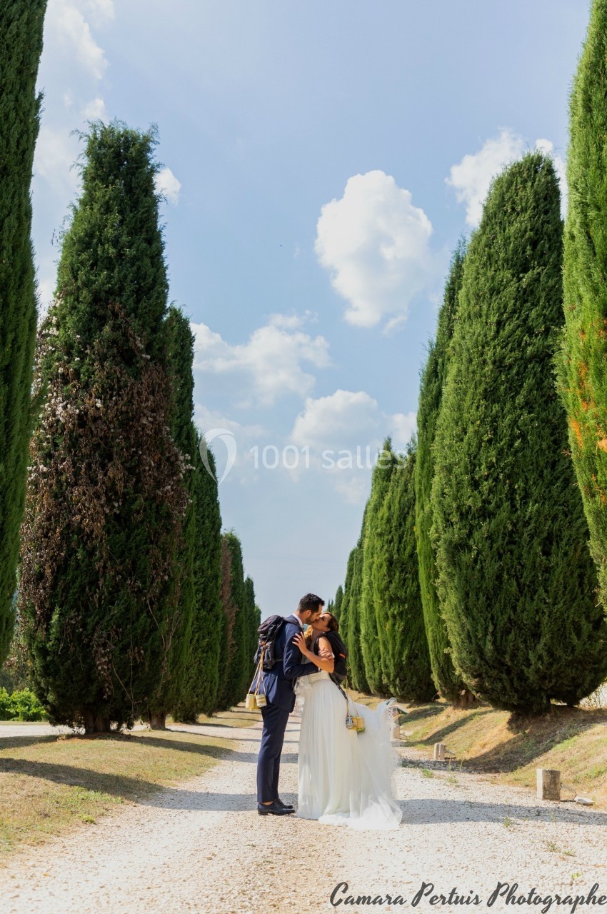 Un couple de mariés s'embrasse sur un chemin bordé de grands cyprès sous un ciel ensoleillé.