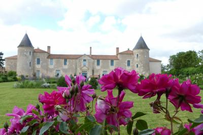 Un couple marche dans le jardin d'un château ancien entouré de verdure par une journée ensoleillée.