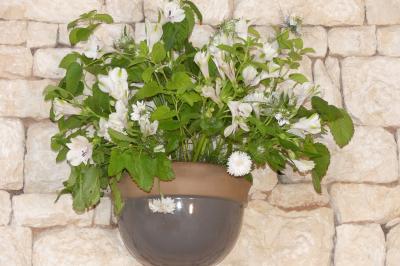 Un couple marche dans le jardin d'un château ancien entouré de verdure par une journée ensoleillée.