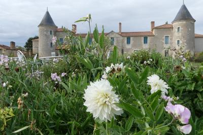 Un couple marche dans le jardin d'un château ancien entouré de verdure par une journée ensoleillée.
