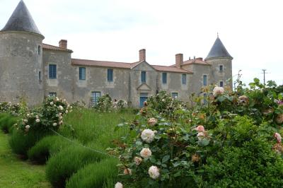 Un couple marche dans le jardin d'un château ancien entouré de verdure par une journée ensoleillée.