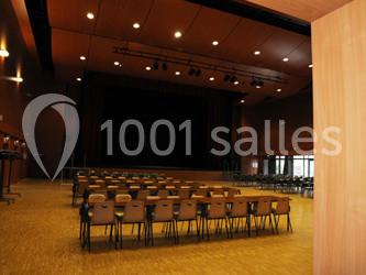 Location salle Luisant (Eure-et-Loir) - Salle André Malraux #9