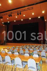 Location salle Luisant (Eure-et-Loir) - Salle André Malraux #9