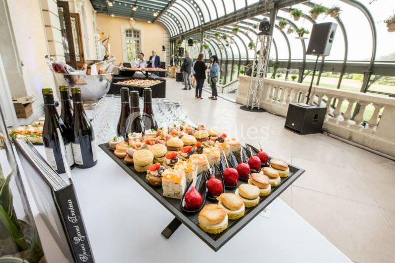 Location salle Saint-Pierre-de-Chandieu (Rhône) - Château de Rajat #4