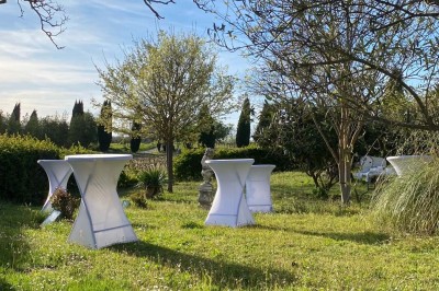 Salle avec un ancien pressoir en bois, des tonneaux, une table rouge avec bouteilles et des verres à vin.