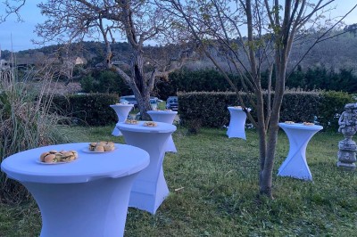 Salle avec un ancien pressoir en bois, des tonneaux, une table rouge avec bouteilles et des verres à vin.