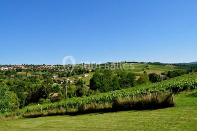 Salle de réunion avec tables disposées en U, chaises rouges, paperboards et décorations végétales.