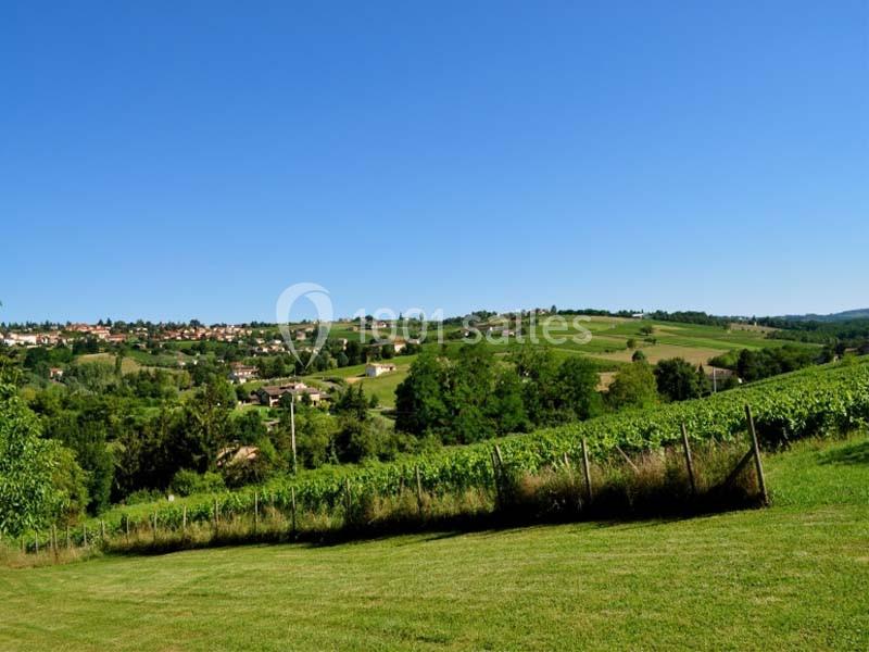 Paysage rural avec des collines verdoyantes, des vignobles et un village en arrière-plan sous un ciel bleu clair.