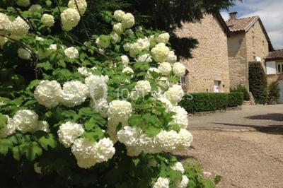 Domaine Albert Domaine Albert