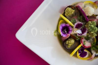 Location salle Avignon (Vaucluse) - Les Grands Bateaux De Provence #24