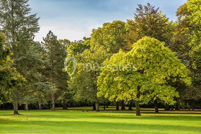 Un parc verdoyant avec des arbres variés et une pelouse bien entretenue sous un ciel légèrement nuageux.