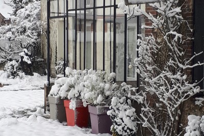 Façade en pierre et brique d'une maison avec rosiers grimpants, jardin verdoyant et terrasse ensoleillée.