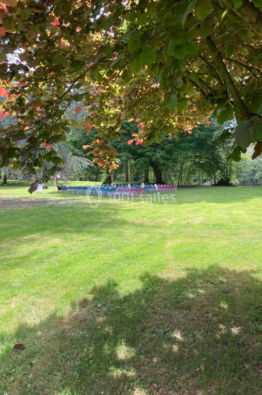 Pelouse verdoyante avec des arbres en arrière-plan, partiellement ombragée par des branches au premier plan.