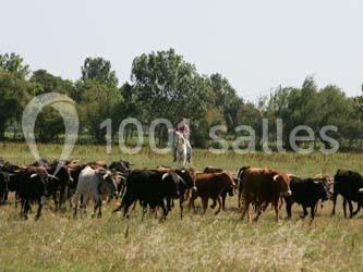 Location salle Fleury (Aude) - Manade Marge Domaine de la Batisse #24