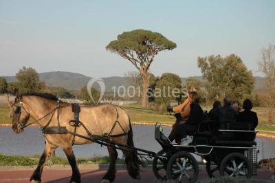 Location salle Vidauban (Var) - Château Saint Julien D'aille #15
