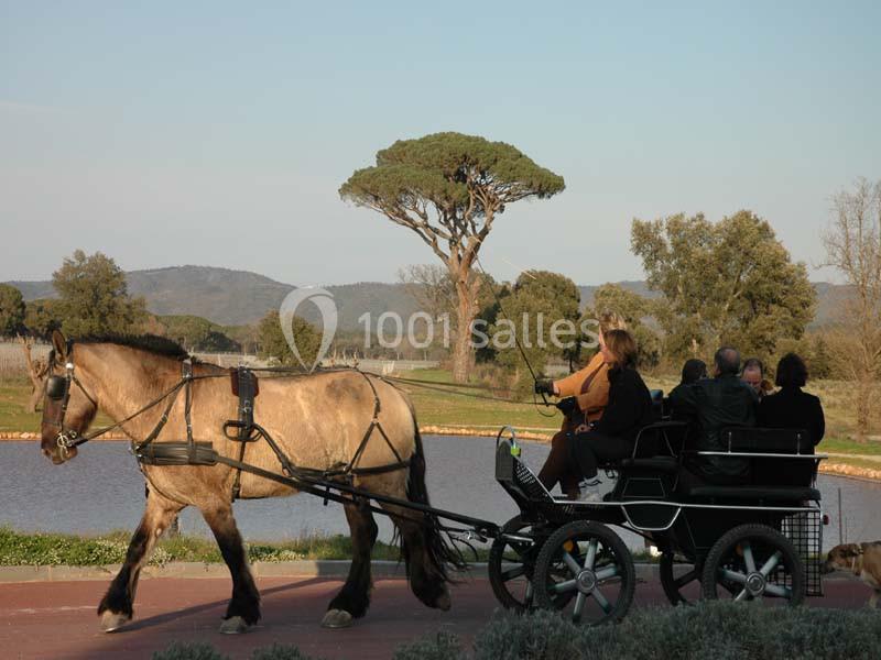 Location salle Vidauban (Var) - Château Saint Julien D'aille #8