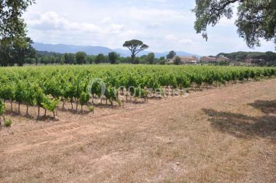 Location salle Vidauban (Var) - Château Saint Julien D'aille #15