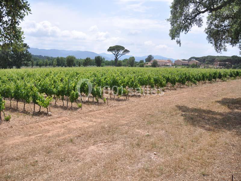 Location salle Vidauban (Var) - Château Saint Julien D'aille #11