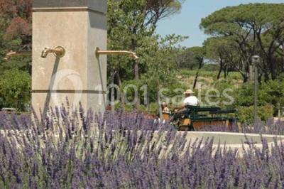 Location salle Vidauban (Var) - Château Saint Julien D'aille #15