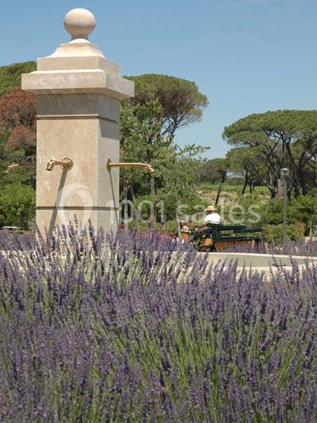 Location salle Vidauban (Var) - Château Saint Julien D'aille #13