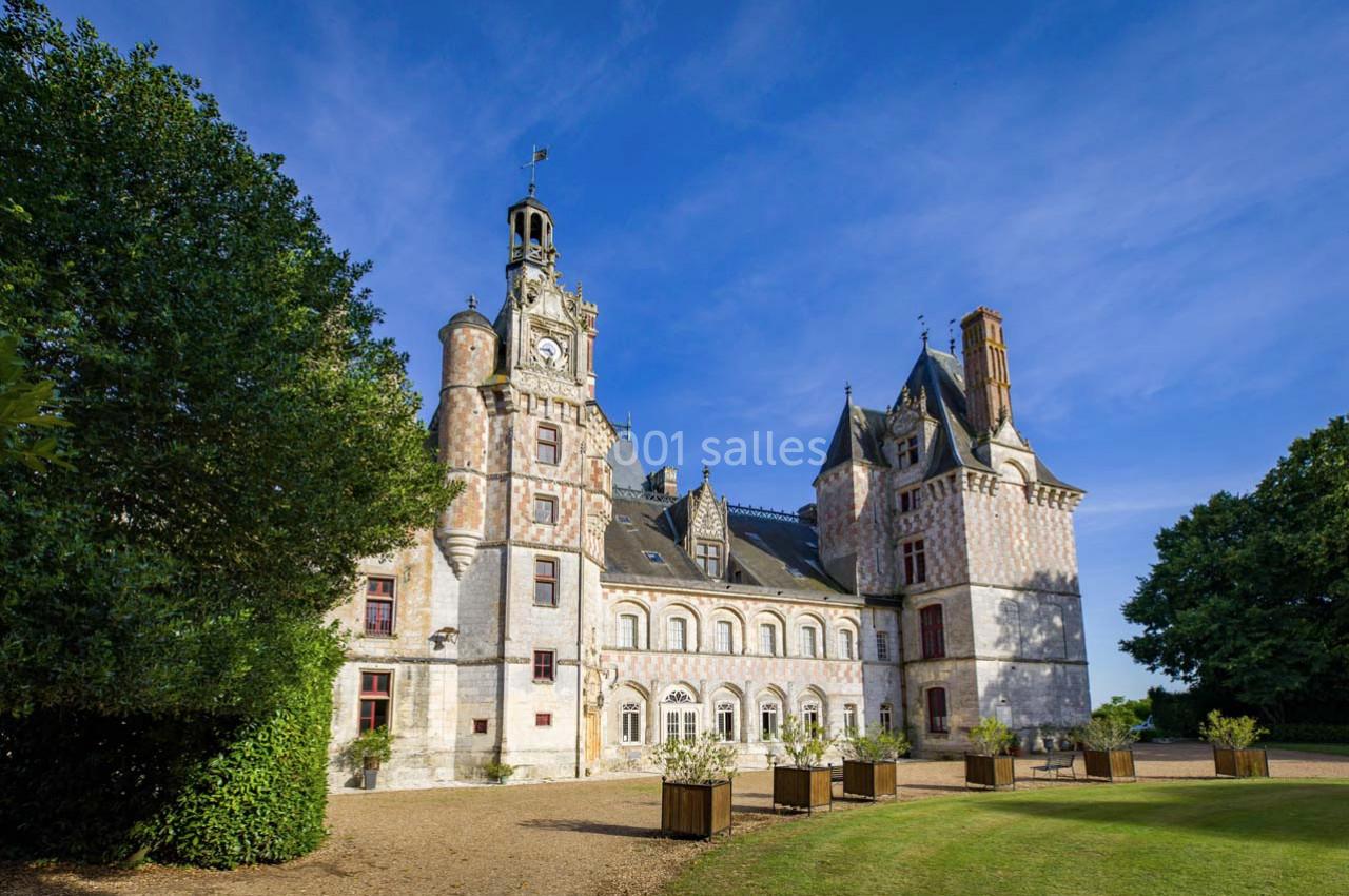 Location salle Montigny-le-Gannelon (Eure-et-Loir) - Château de Montigny Le Gannelon #13