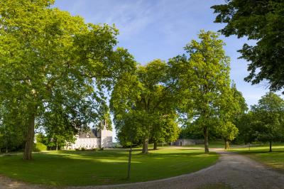 Location salle Montigny-le-Gannelon (Eure-et-Loir) - Château de Montigny Le Gannelon #48
