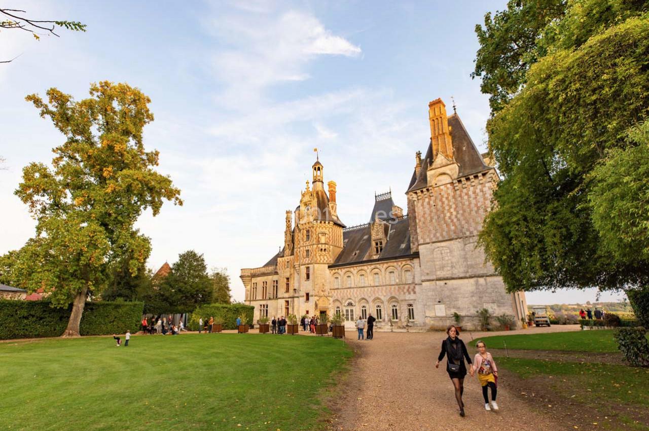 Location salle Montigny-le-Gannelon (Eure-et-Loir) - Château de Montigny Le Gannelon #32