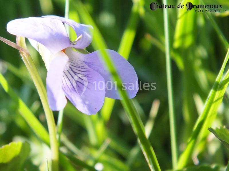 Location salle Lamure-sur-Azergues (Rhône) - Château De Pramenoux #21
