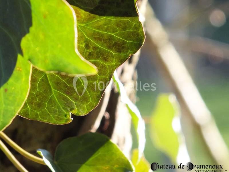 Location salle Lamure-sur-Azergues (Rhône) - Château De Pramenoux #23