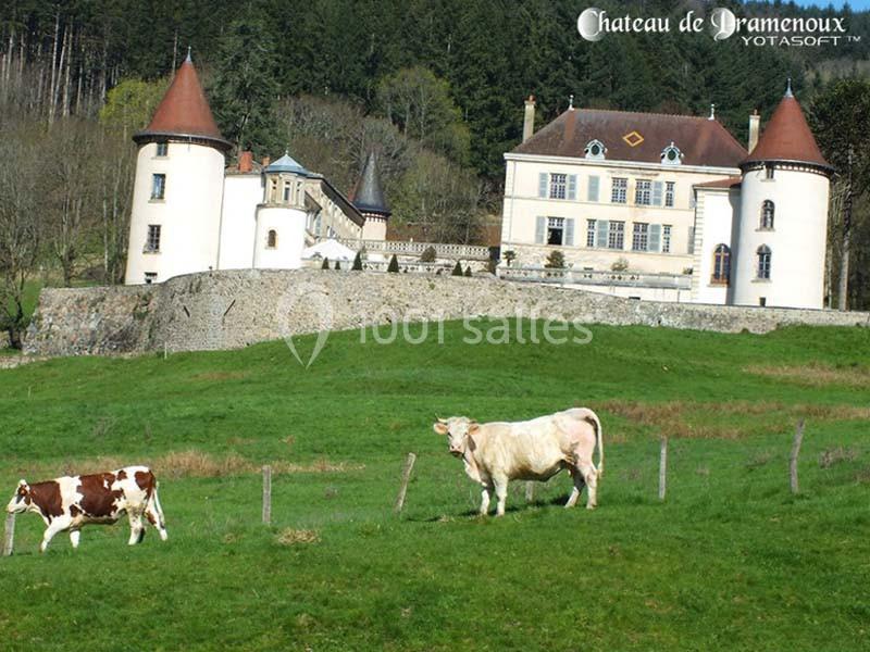 Location salle Lamure-sur-Azergues (Rhône) - Château De Pramenoux #18