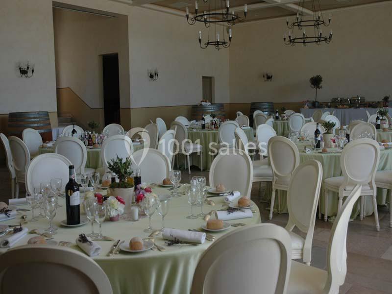 Location salle Vidauban (Var) - Château Saint Julien D'aille #8