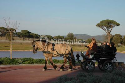 Location salle Vidauban (Var) - Château Saint Julien D'aille #21