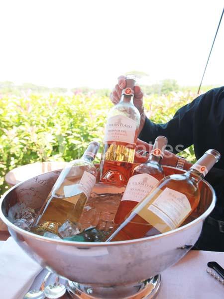 Location salle Vidauban (Var) - Château Saint Julien D'aille #21