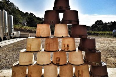 Location salle Aumelas (Hérault) - Le Clos de l'Amandaie #35