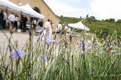 Le Clos de l'Amandaie Le Clos de l'Amandaie