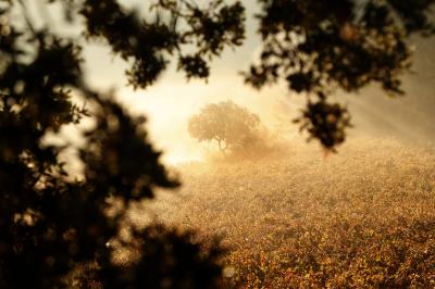 Location salle Aumelas (Hérault) - Le Clos de l'Amandaie #35