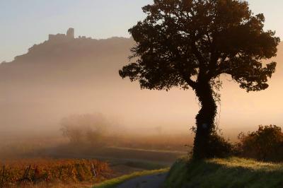 Location salle Aumelas (Hérault) - Le Clos de l'Amandaie #35