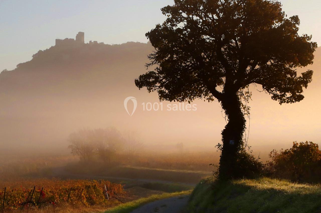 Location salle Aumelas (Hérault) - Le Clos de l'Amandaie #28