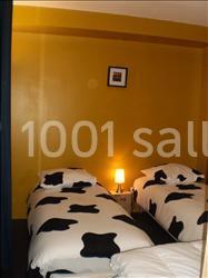 Location salle Frossay (Loire-Atlantique) - Guermiton #12