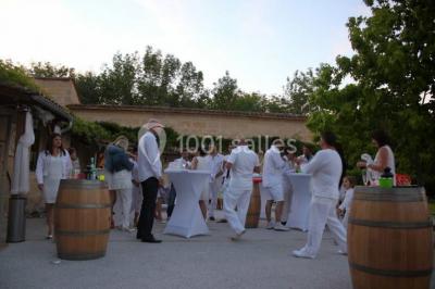 Location salle Cubzac-les-Ponts (Gironde) - Domaine De Conseillant #7